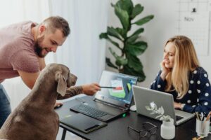 Help us Adopt a New Company Dog (or three)